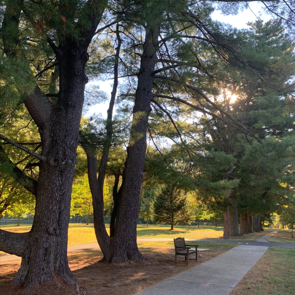 The programs featured image