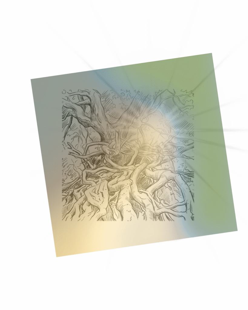 The programs featured image